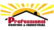 Professional Roofing