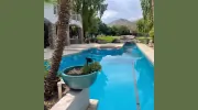Purdy Pool Service & Repair