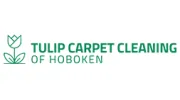 Carpet Cleaning Hoboken