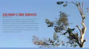 Zielinski's Tree Services