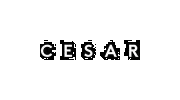 Cesar NYC Kitchens