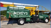 Mikey's Tree Service
