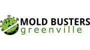 Mold Busters Greenville