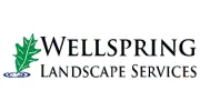Wellspring Landscape