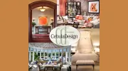 Cebula Design