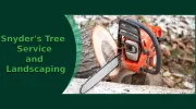 Snyder's Tree Service & Landscaping
