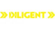 Diligent Services