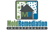 Mold Remediation