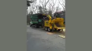Curtis Tree Service