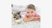 Palm Coast Carpet Cleaning