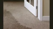 Premier Carpet Care