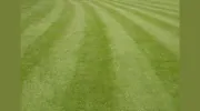 Old Pro's Lawn Service