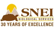 SNEI