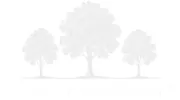 Forest Millwork