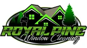 Royal Pine