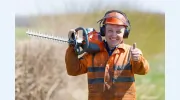 Stockton Tree Services
