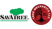 Tree Mechanics