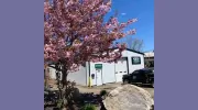 V.I.P. Landscaping