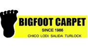 Big Foot Carpet