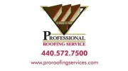 Professional Roofing Service