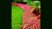 Aesthetic Landscapes
