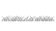 Turf Masters Lawn Care