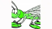 got lawn? Tree & Turf Care