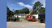 Maribito Tree Service