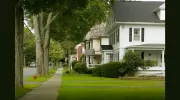 Alpha Pro Painting