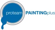 Pro Team Painting Plus
