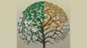 All Seasons Lawn & Landscaping