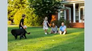 Lawn & Pest Solutions