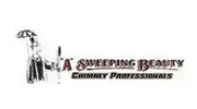 A Sweeping Beauty Chimney Professionals