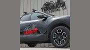 Terminator Pest Control