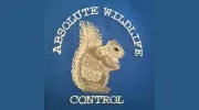 Absolute Wildlife Control