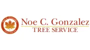 Noe C Gonzalez Tree Service