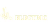 Turning Point Electric
