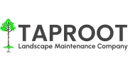 Taproot Landscape