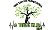 A Tree M D