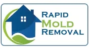 Rapid Mold Removal