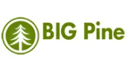 Big Pine Construction