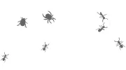 Apex Pest Control
