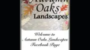 Autumn Oaks