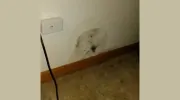 Illinois Mold Eradicator