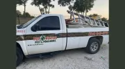 Pest Hunters