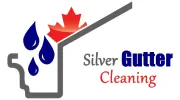 Silver Gutter Cleaning
