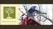 Donovan Tree Service