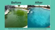 Perfect Pool & Spa