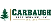 Carbaugh Tree Service