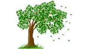 Callender Tree Service